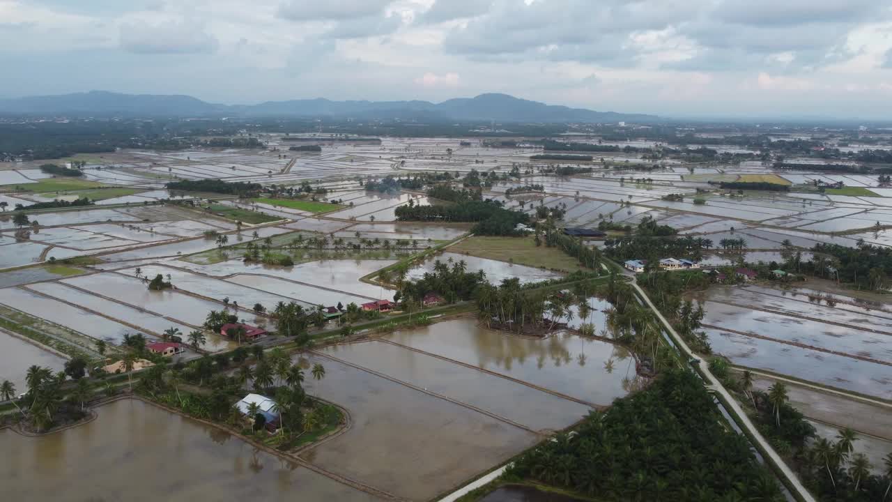 鸟瞰图马来kampung种植园稻田视频素材