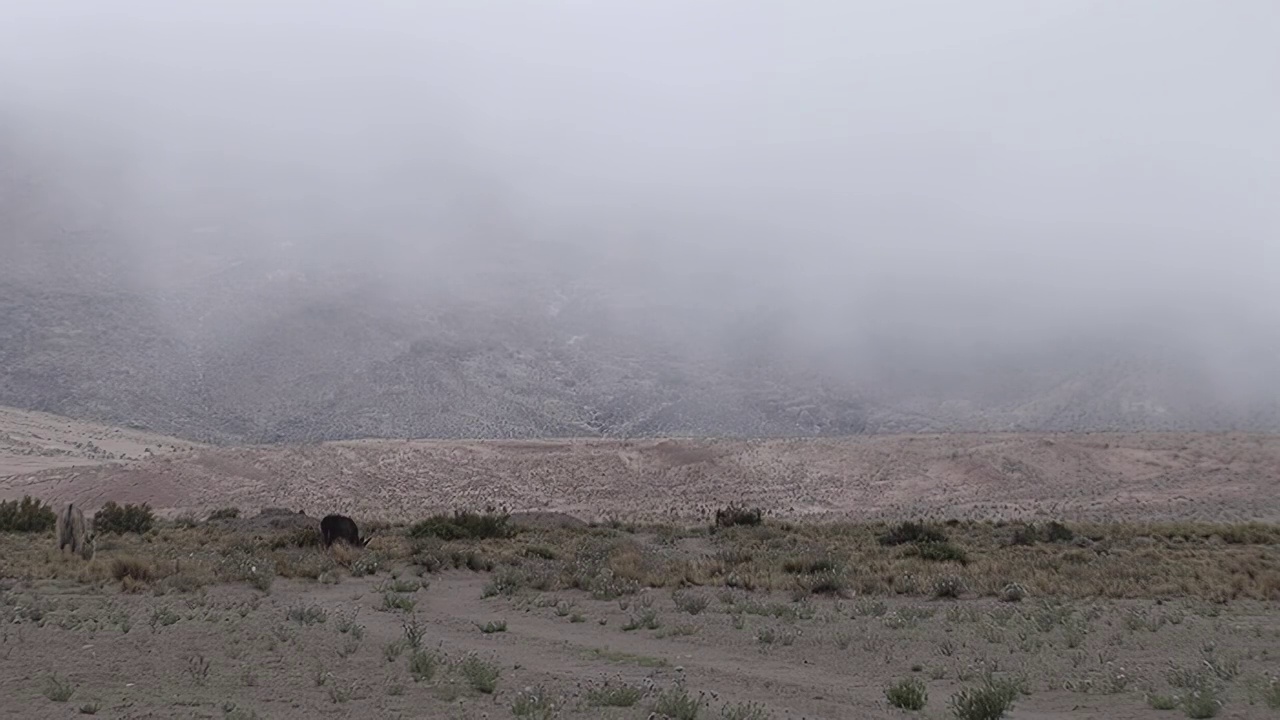 南美洲，阿根廷，卡塔马卡省，山谷上的暴风雨的天空。视频素材