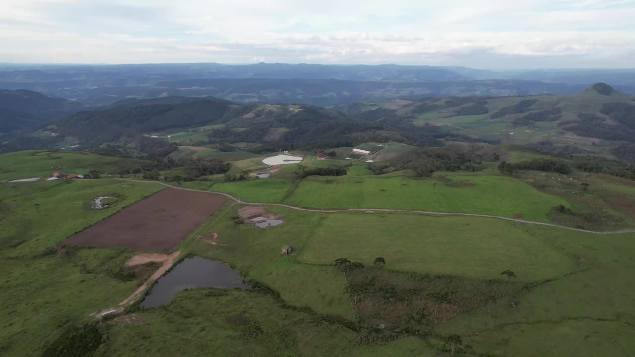 村庄的房子在山区与针叶林，松树和南洋杉林视频素材