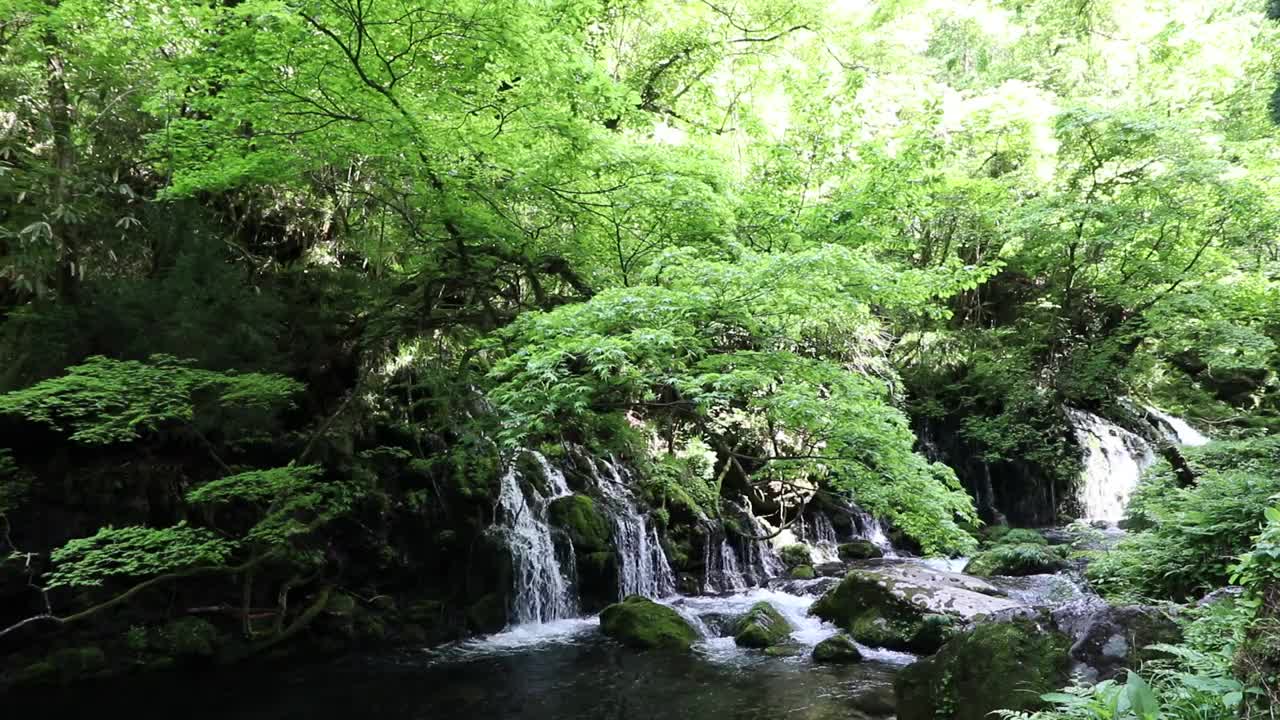 秋田县nikho市kisakatam町
“Moto-taki”下溢水视频素材