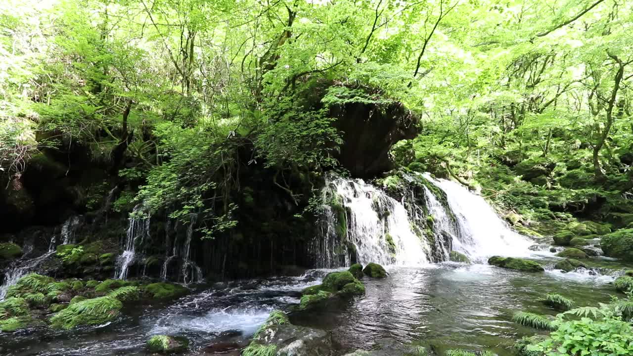 秋田县nikho市kisakatam町
“Moto-taki”下溢水视频素材