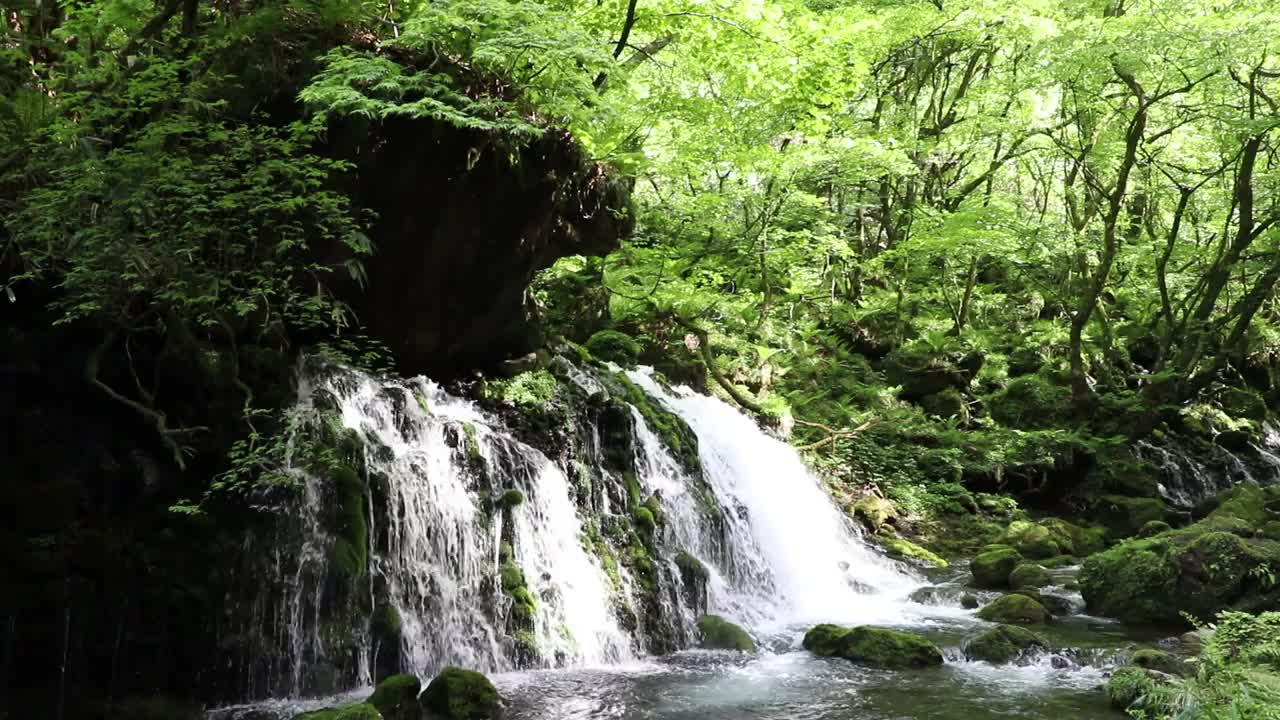 秋田县nikho市kisakatam町
“Moto-taki”下溢水视频素材