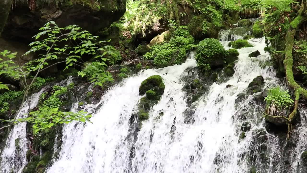 秋田县nikho市kisakatam町
“Moto-taki”下溢水视频素材