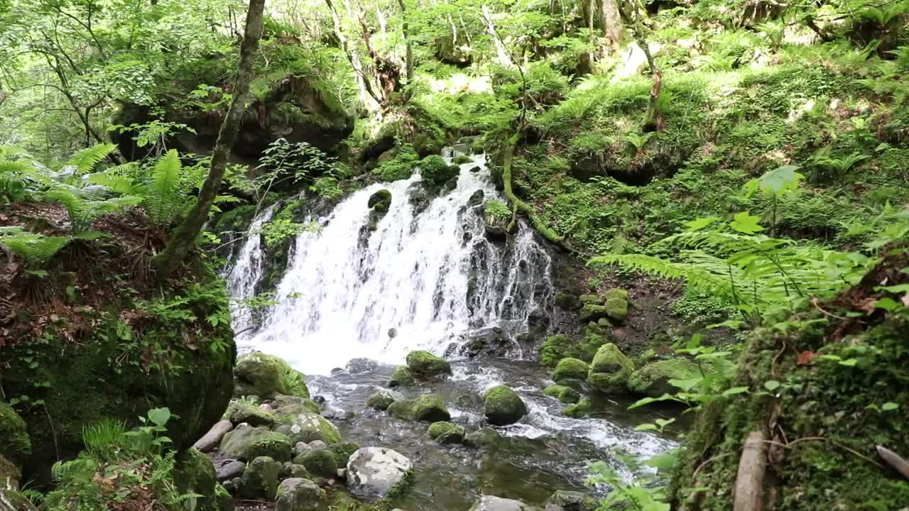 秋田县nikho市kisakatam町
“Moto-taki”下溢水视频素材