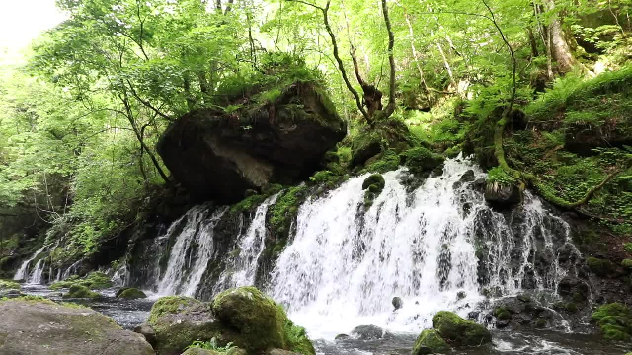 秋田县nikho市kisakatam町
“Moto-taki”下溢水视频素材