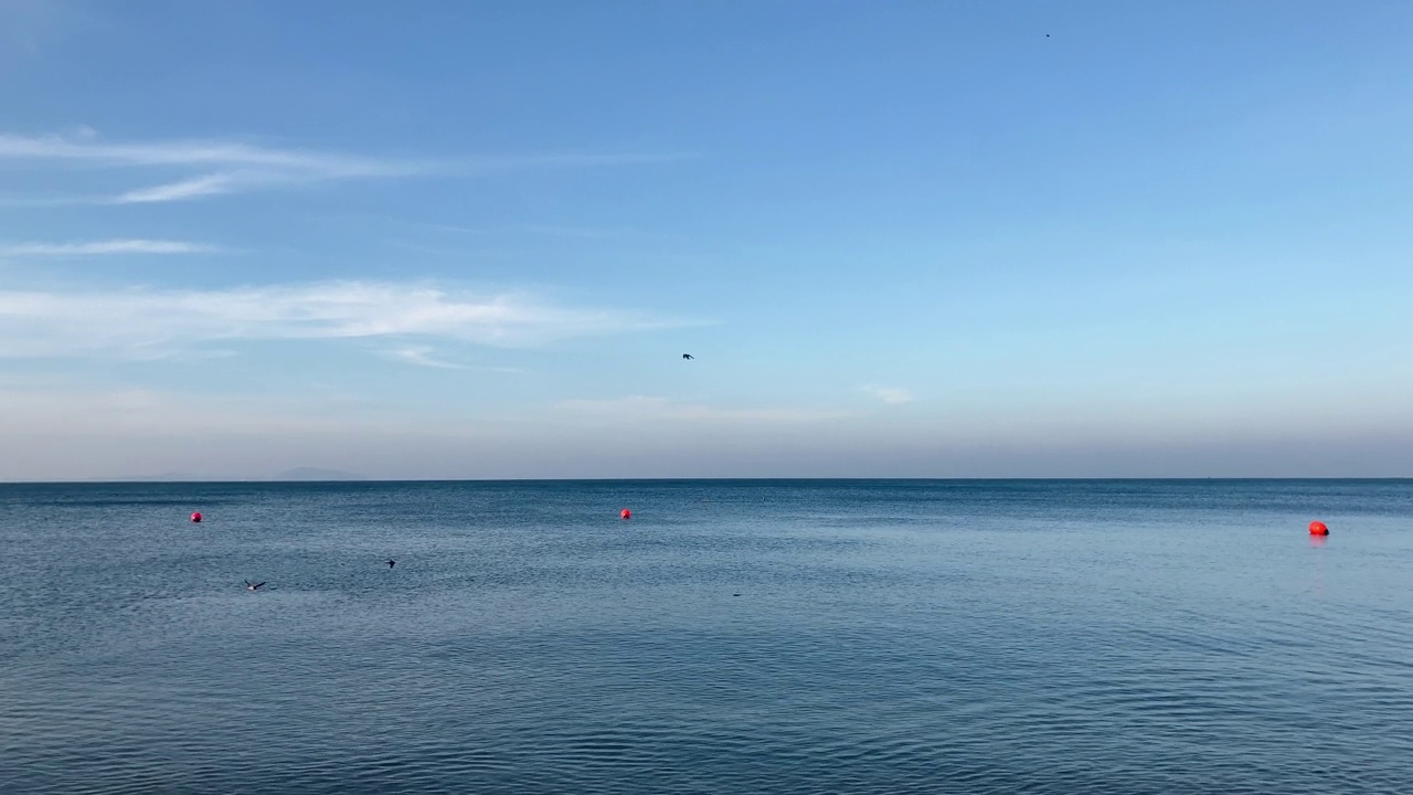 平静的海视频素材