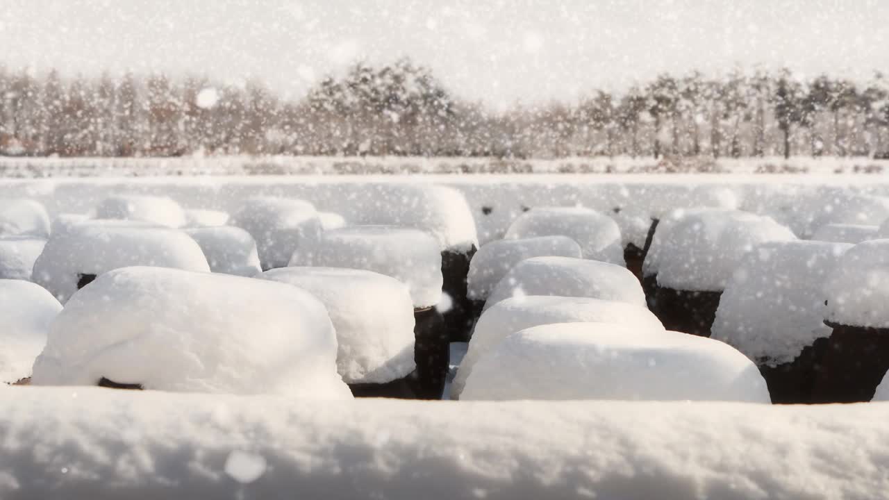 白雪覆盖的长筒台和美丽的冬季风景视频素材