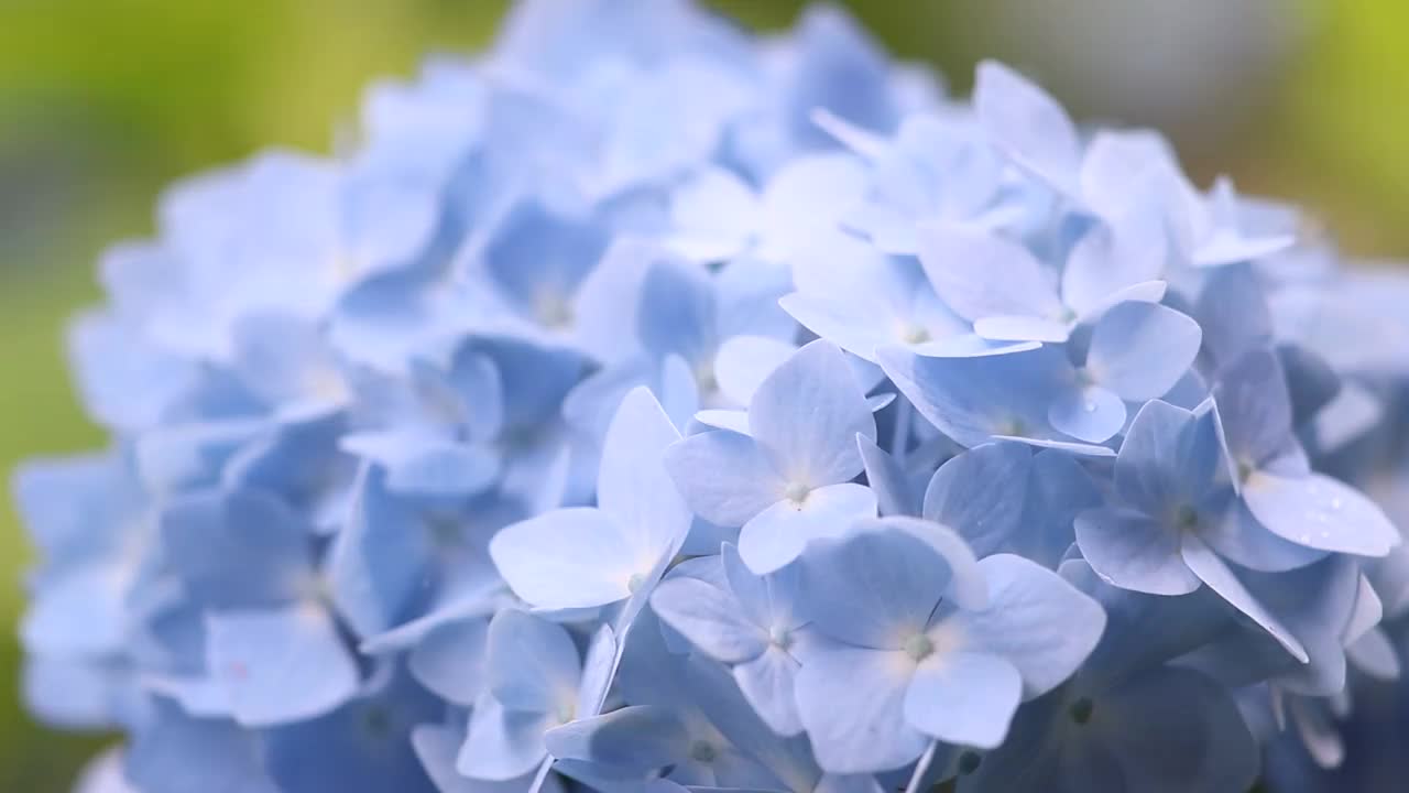 秋田县爱嘉城视频素材