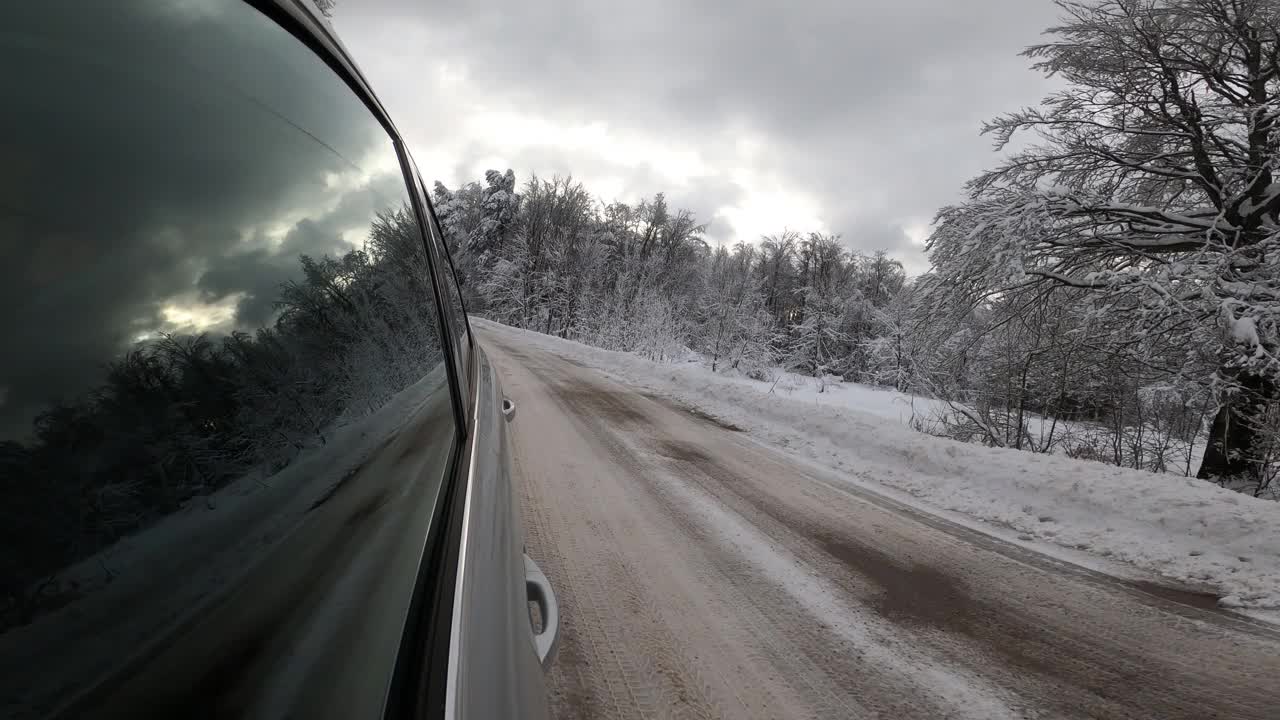 驾车穿过雪原森林视频素材