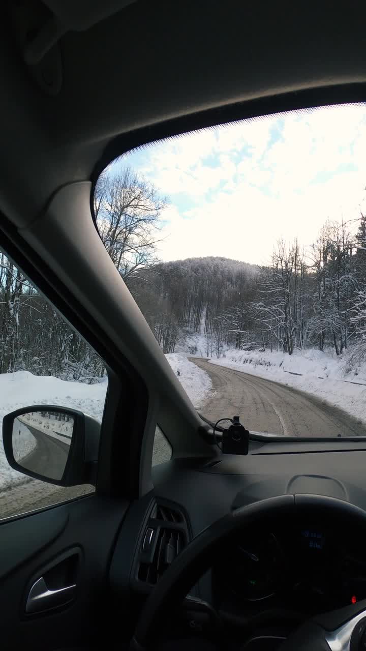 驾车穿过雪原森林视频素材