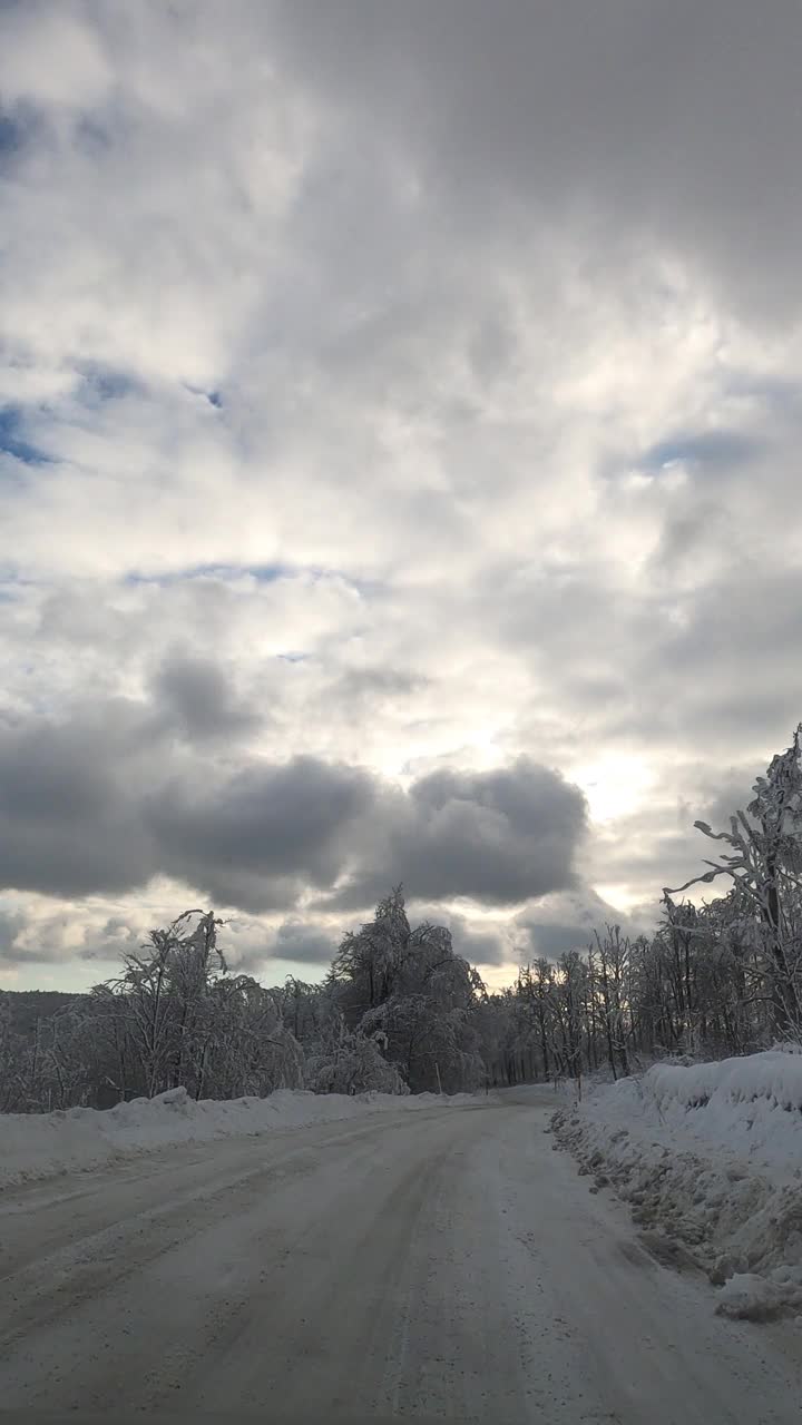 驾车穿过雪原森林视频素材