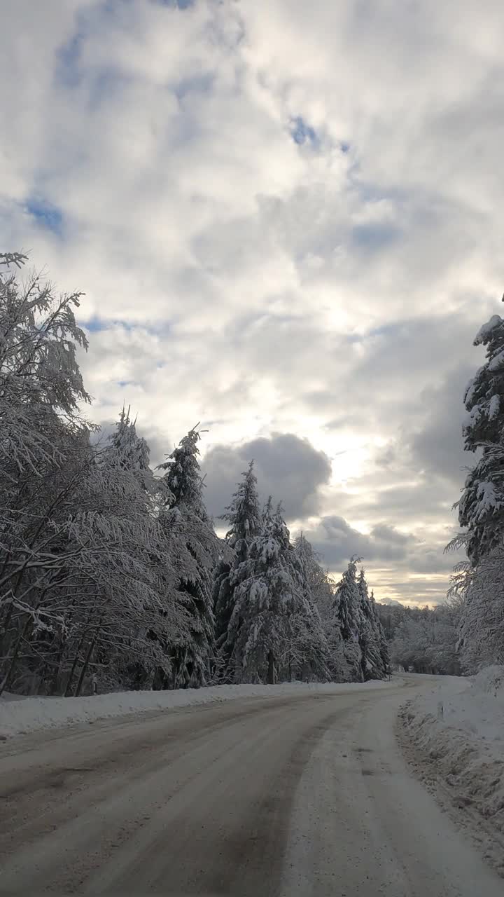 驾车穿过雪原森林视频素材