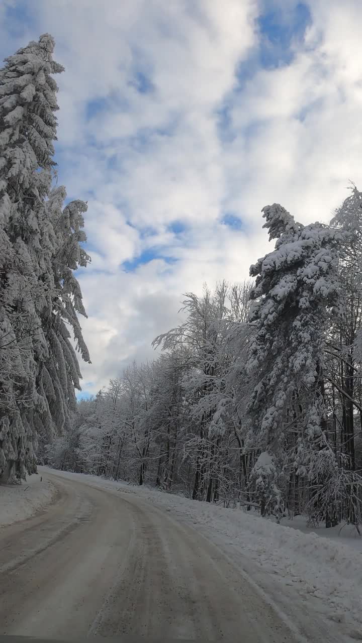 驾车穿过雪原森林视频素材