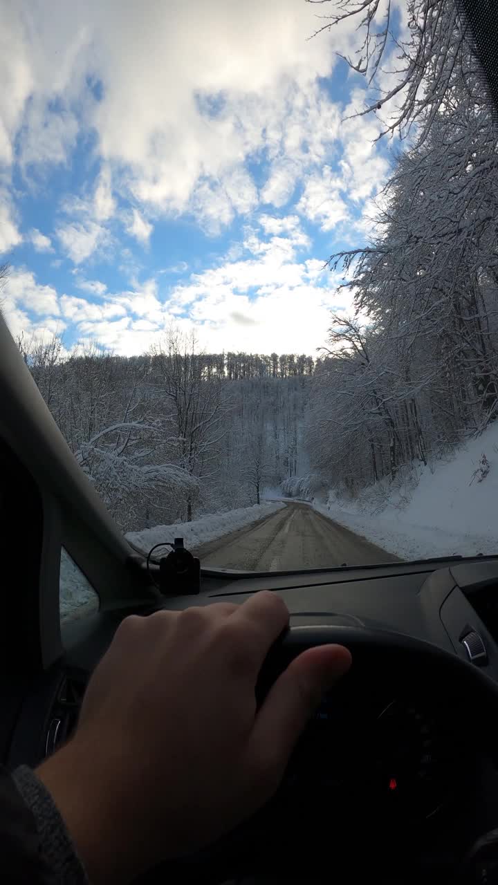 驾车穿过雪原森林视频素材