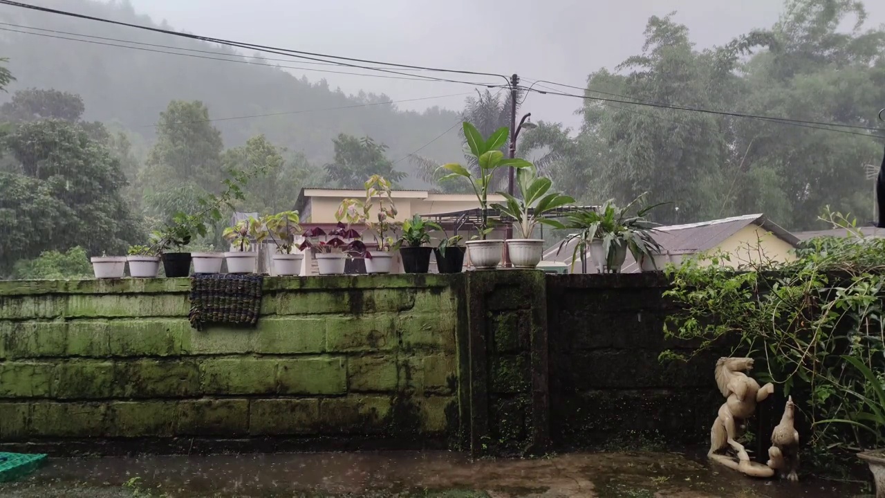 降雨视频下载