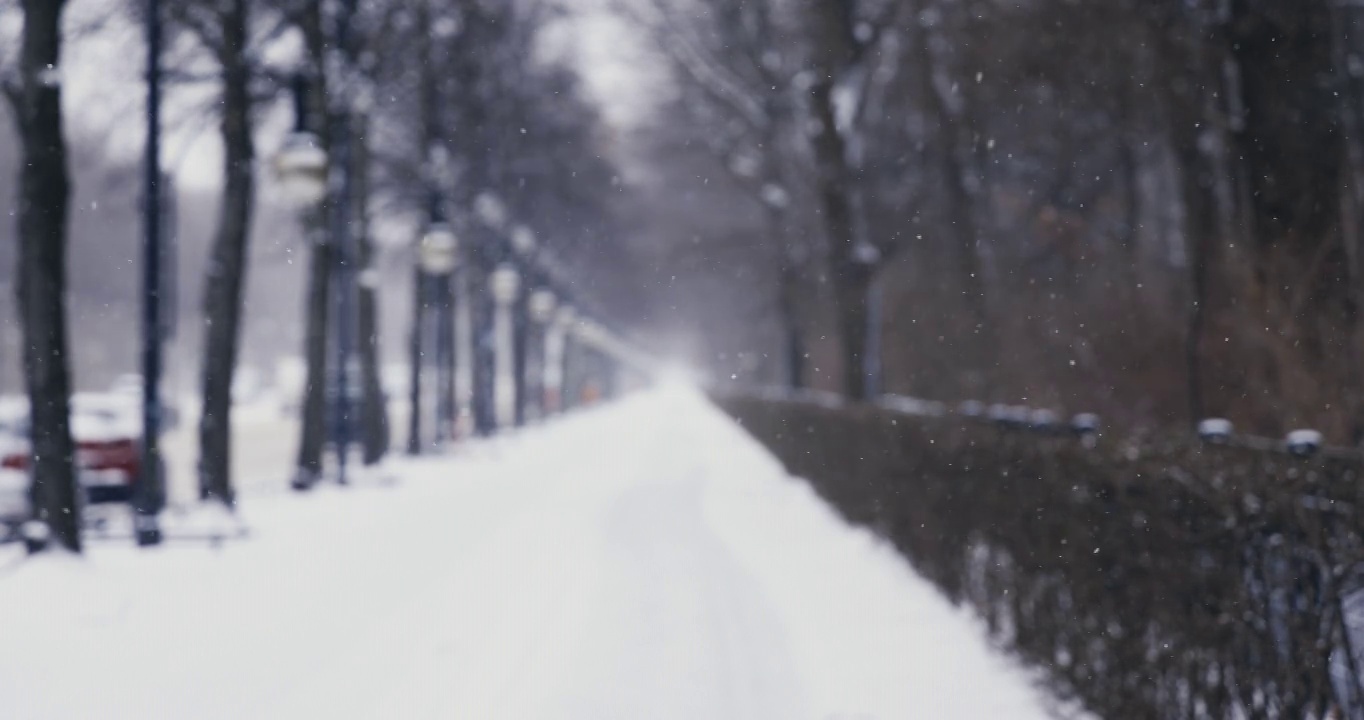 柏林城市冬季街道公园场景与交通和暴风雪暴风雪在慢镜头聚焦雪花视频素材