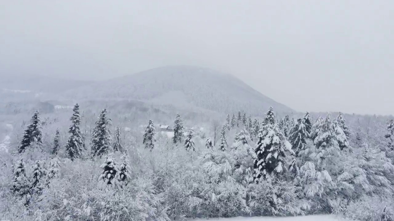 无人机拍摄或镜头的常绿森林，田野，山区和乡村在冬季大降雪。美丽的自然奇观，宁静的旅游胜地。探险旅游目的地视频素材