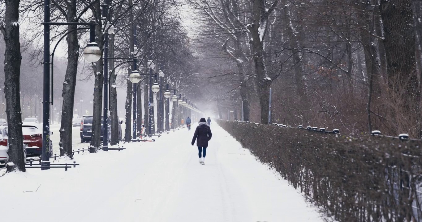 柏林城市冬季街道公园场景与交通和暴风雪在慢动作视频素材