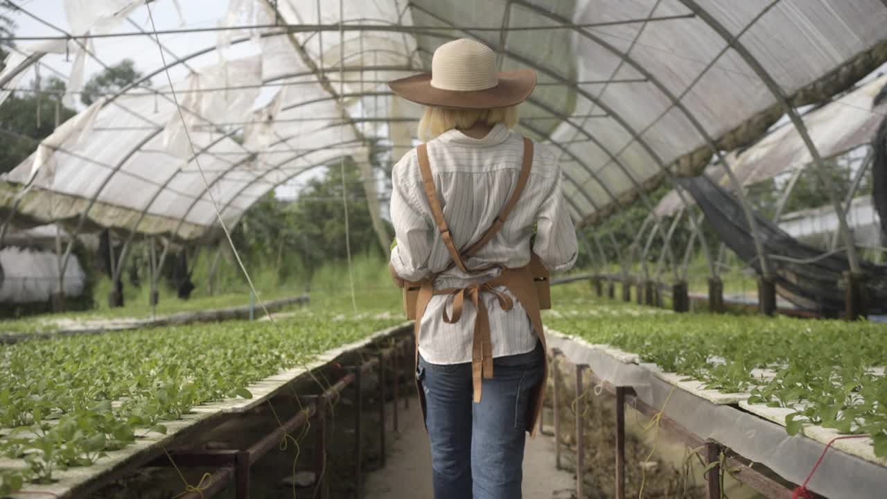 亚洲女农民探索蔬菜种植和在农场工作。视频素材