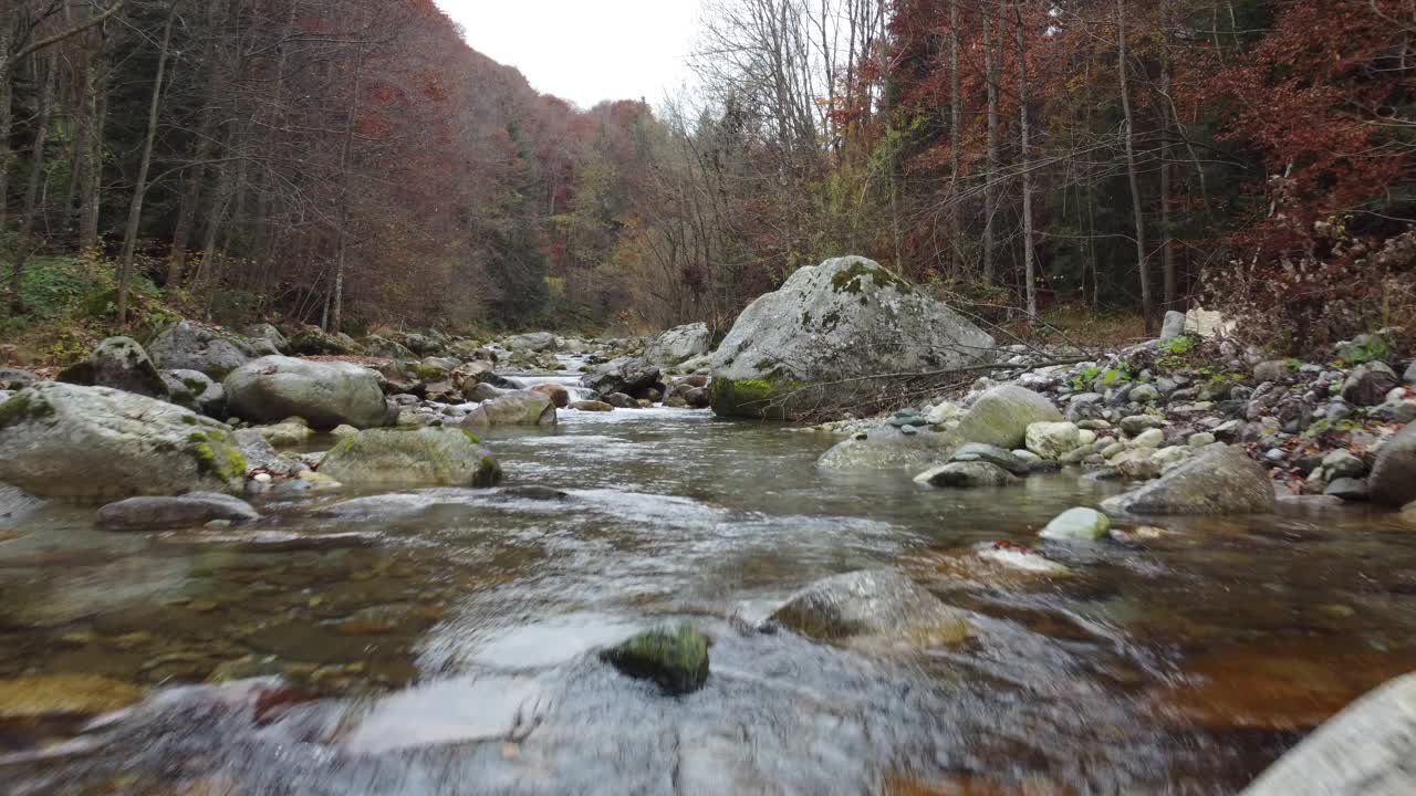 河流在山上森林与红色和黄色的树秋天树叶鸟瞰视频素材