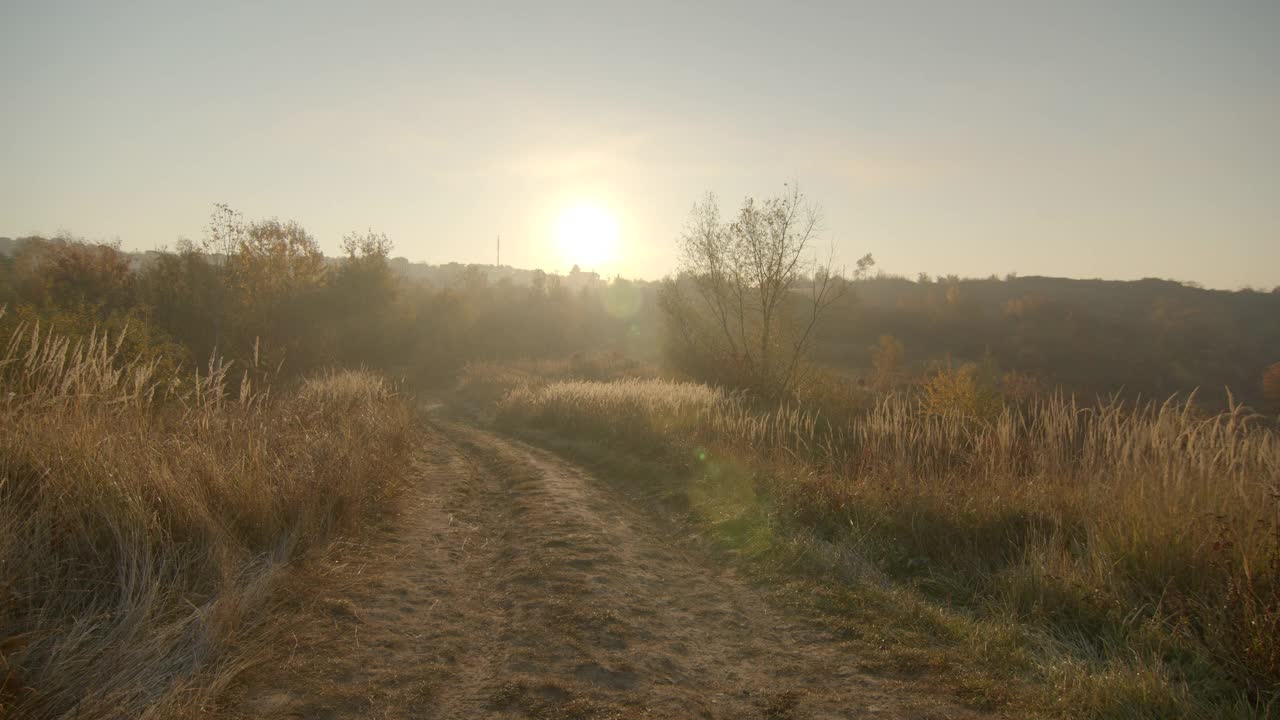 美丽的早晨概述的麦田和土路的前景。阳光明媚的秋天的早晨视频素材