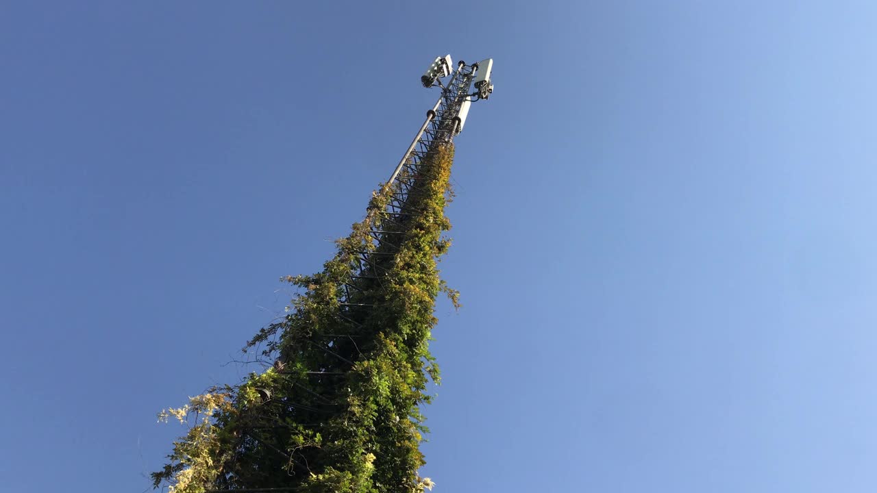 电信天线塔覆盖着植物视频素材