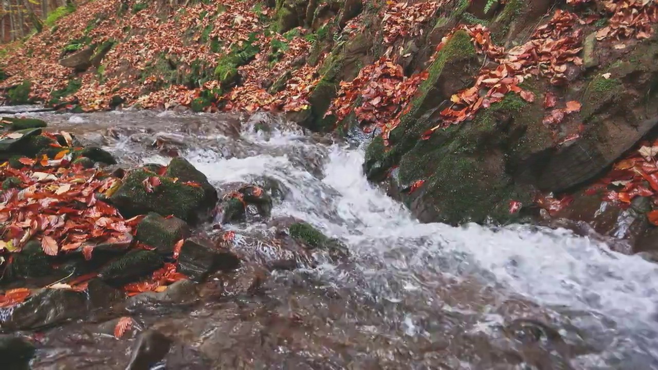 山河带着秋叶视频素材