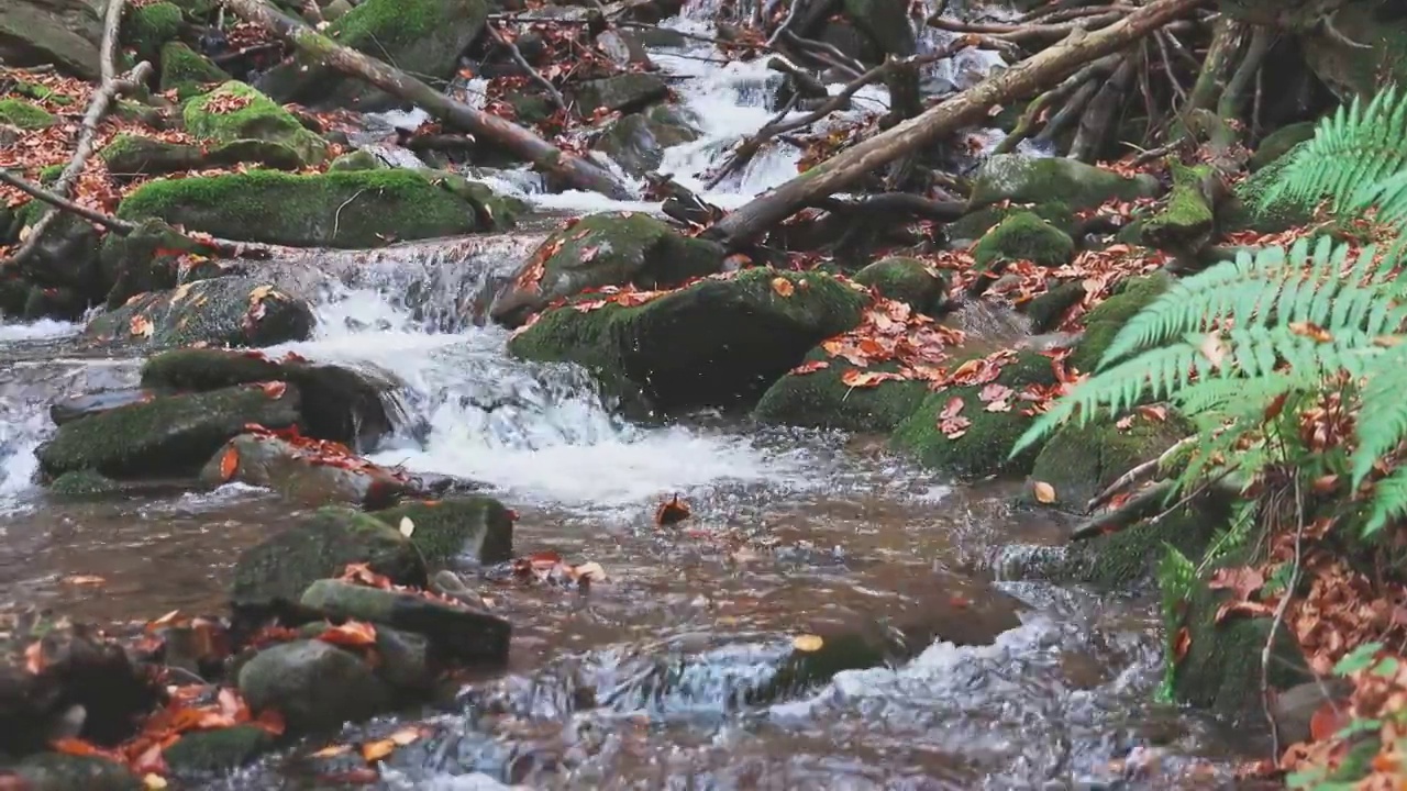 山河带着秋叶视频素材