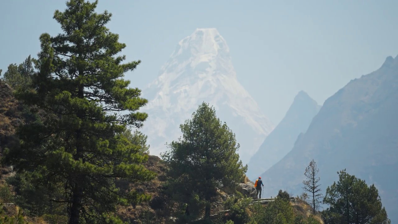 徒步穿越针叶林。令人惊叹的高冰冻山峰在蓝色的薄雾视频下载