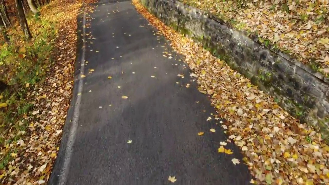 秋日路在山林中，鸟瞰黄红叶树视频素材