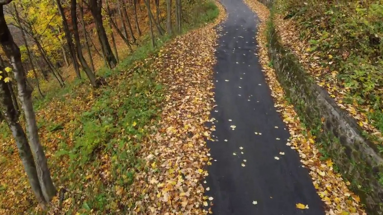 秋日路在山林中，鸟瞰黄红叶树视频素材