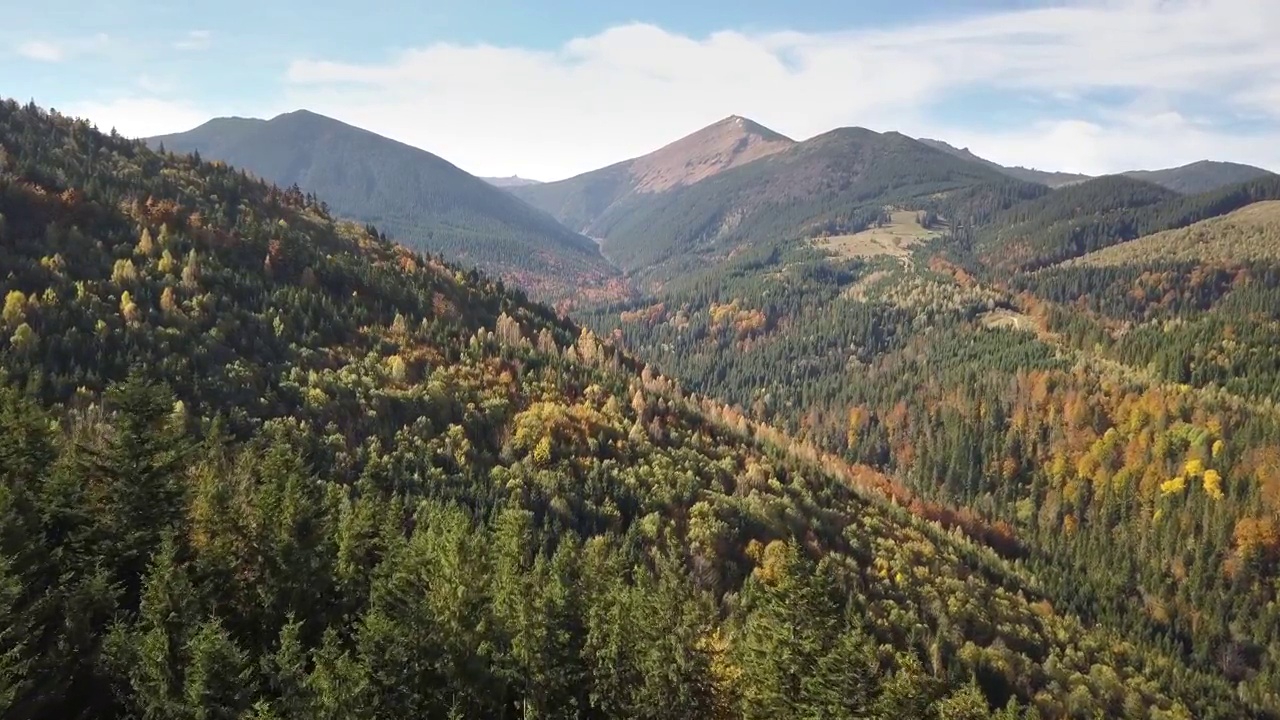 鸟瞰秋日的山景，长青的松树和黄色的秋天森林，远处有神奇的山脉。视频素材