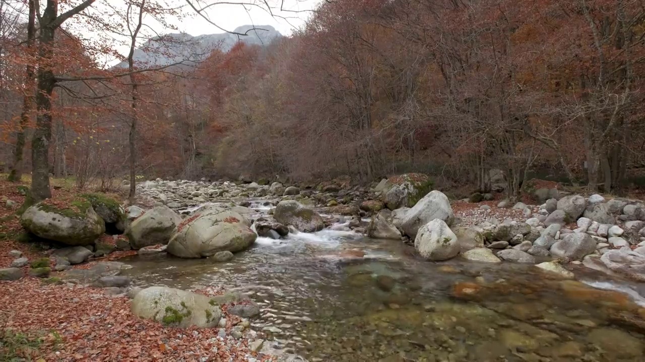 秋天的河流在山上森林黄色和红色的树叶视频素材