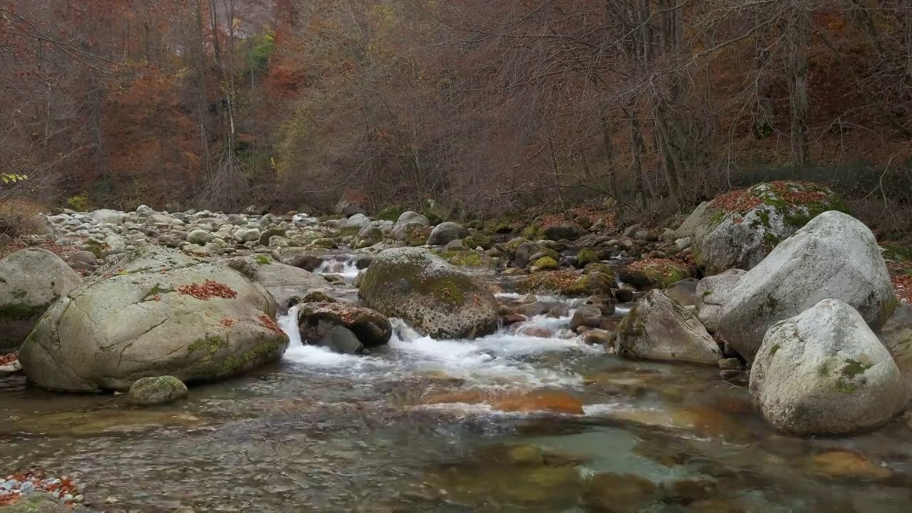 秋天的河流在山上森林黄色和红色的树叶视频素材