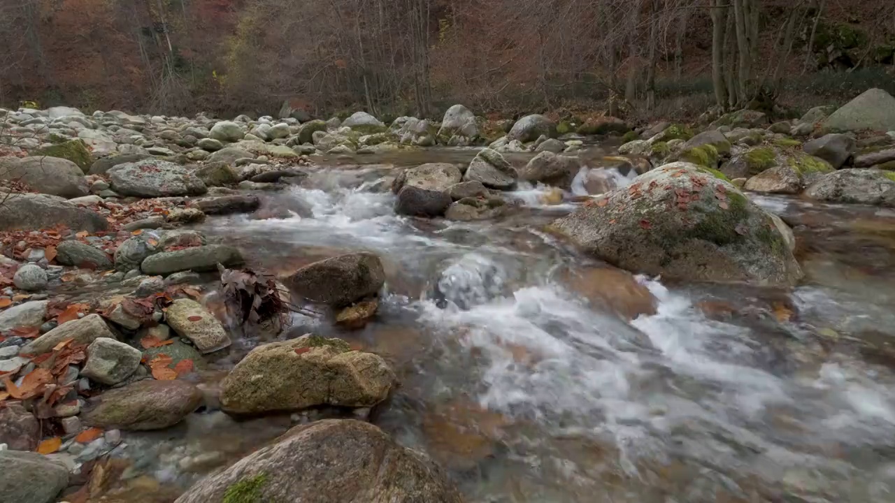 秋天的河流在山上森林黄色和红色的树叶视频素材