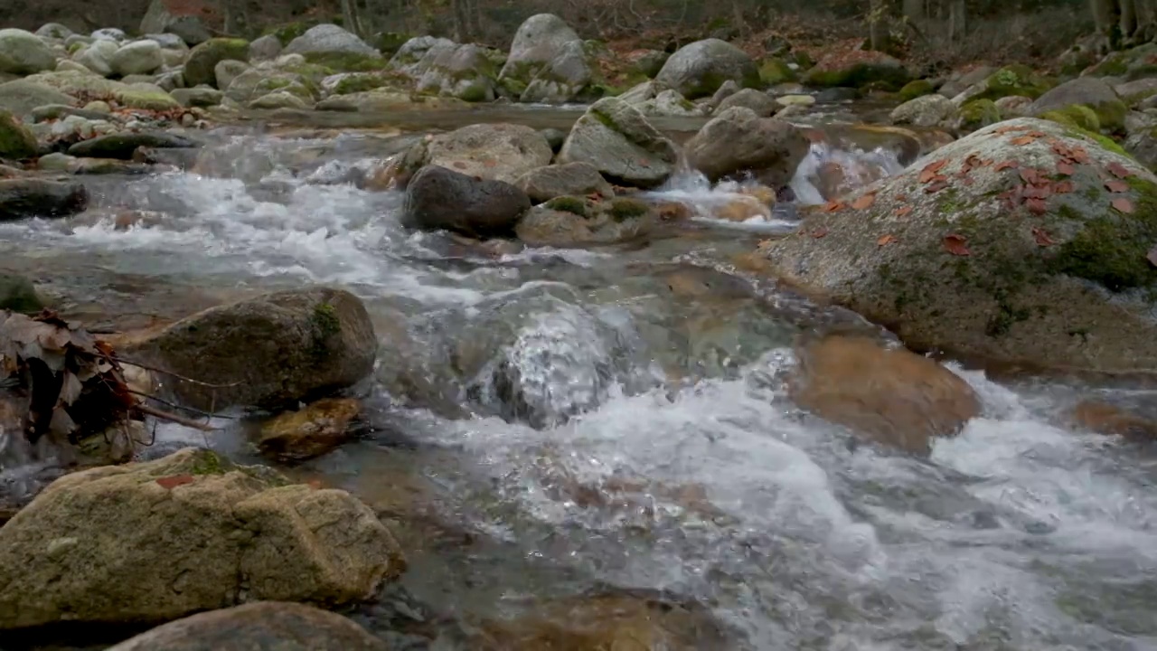 秋水在山林中慢悠悠地流着，树是黄红相间的视频素材