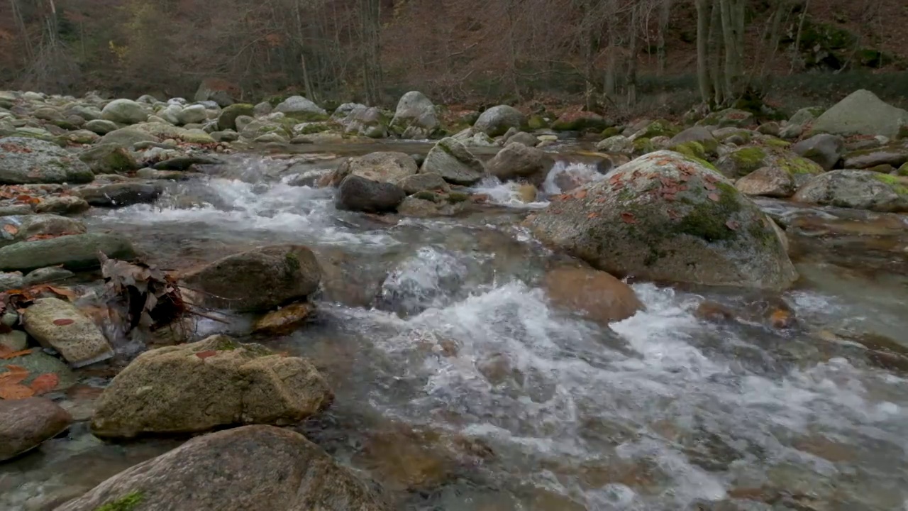 秋水在山林中慢悠悠地流着，树是黄红相间的视频素材