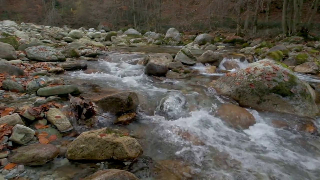 秋水在山林中慢悠悠地流着，树是黄红相间的视频素材