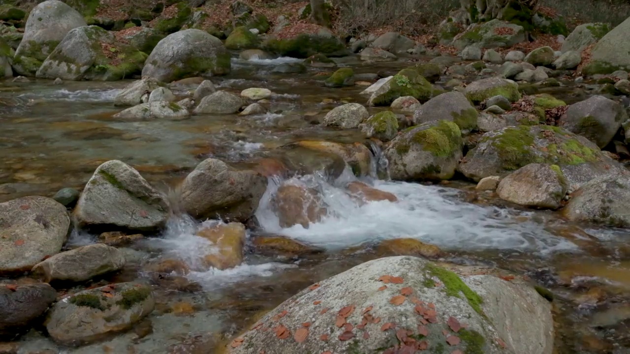 秋水在山林中慢悠悠地流着，树是黄红相间的视频素材