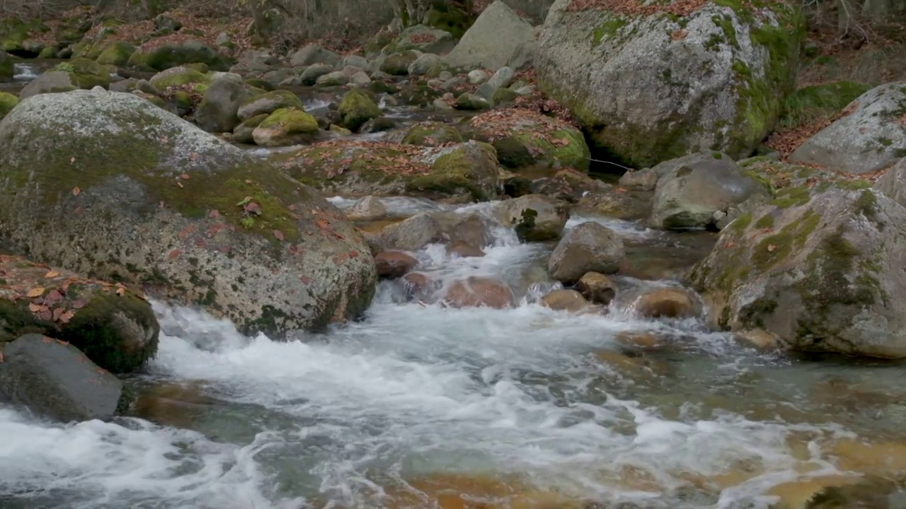 秋水在山林中慢悠悠地流着，树是黄红相间的视频素材