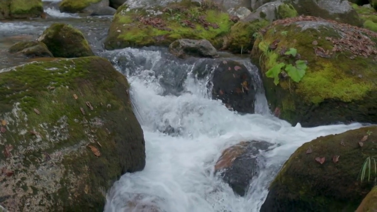 秋水在山林中慢悠悠地流着，树是黄红相间的视频素材