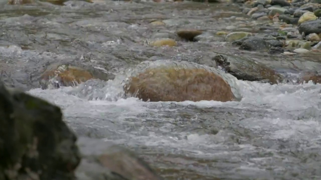 秋水在山林中慢悠悠地流着，树是黄红相间的视频素材