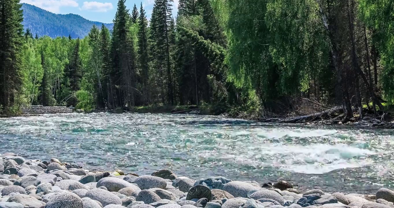 新疆喀纳斯风景名胜区美丽的河流自然风光。视频素材