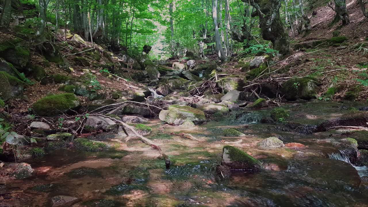 山林深处的河流视频素材