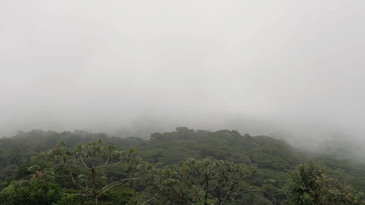 随着时间的推移，美丽的哥斯达黎加森林，云朵在绿色茂盛的丛林和热带雨林上快速上下移动。视频素材