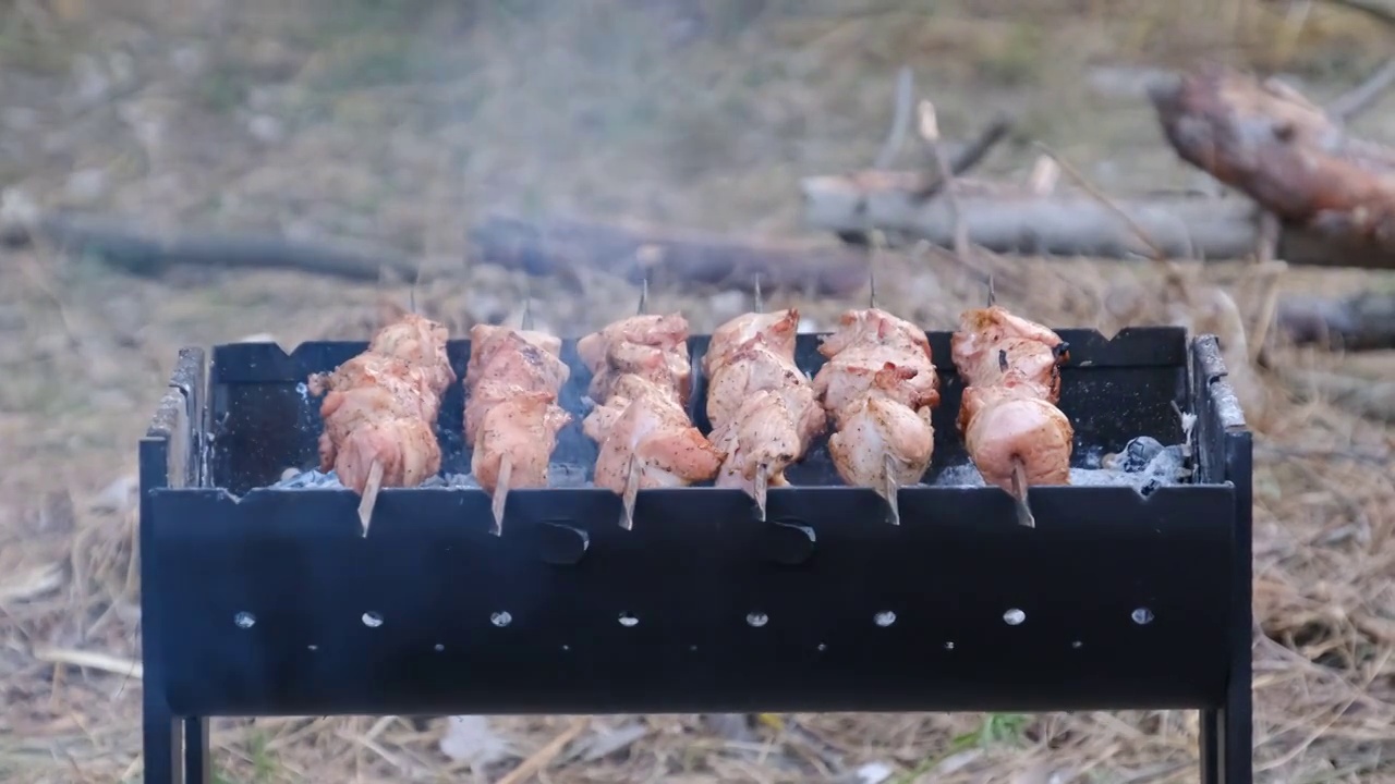 烤肉串上的烤肉串是在户外烧烤，烤肉串上的烤肉视频素材