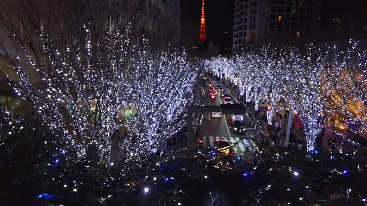 在东京港区六本木的圣诞季节的景色视频素材