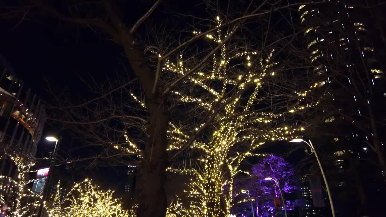 在东京港区六本木的圣诞季节的景色视频素材