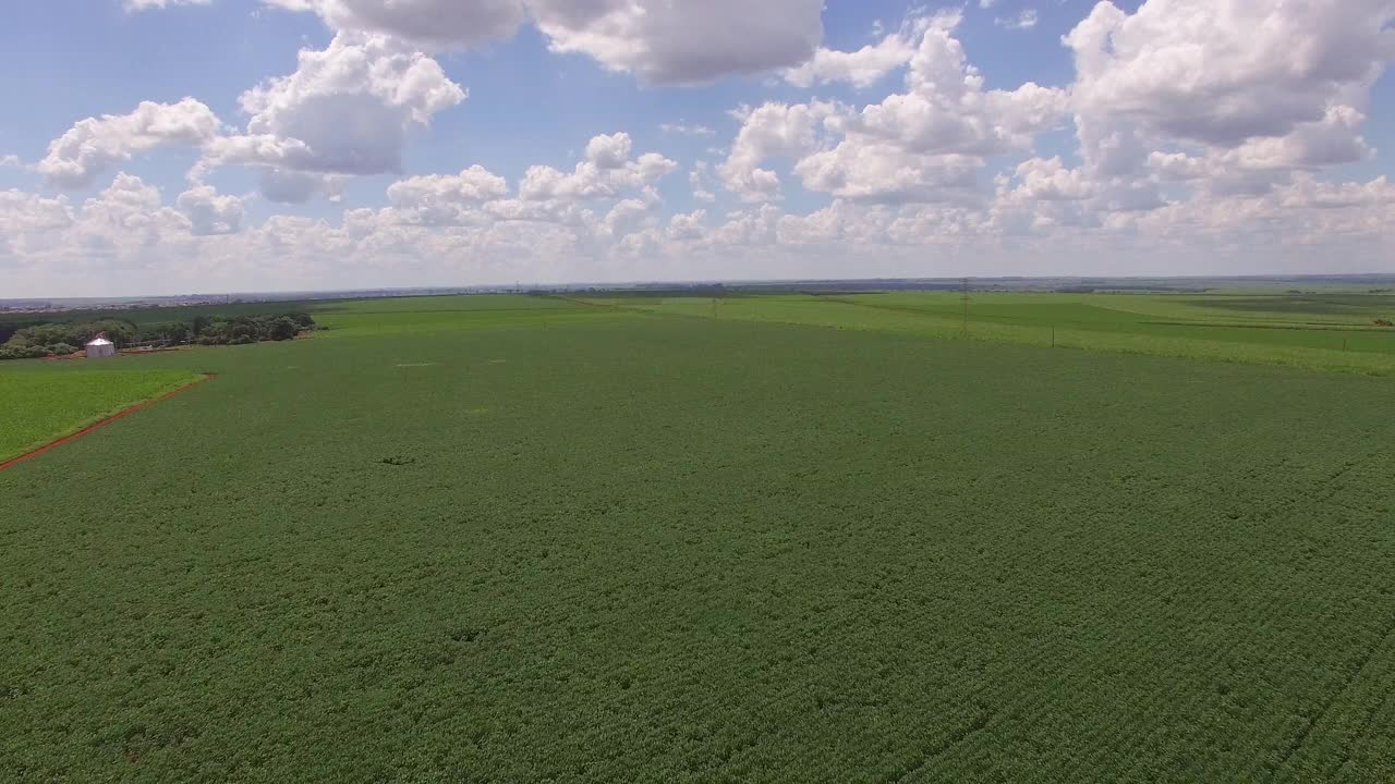 大豆种植与移动鸟瞰图视频素材