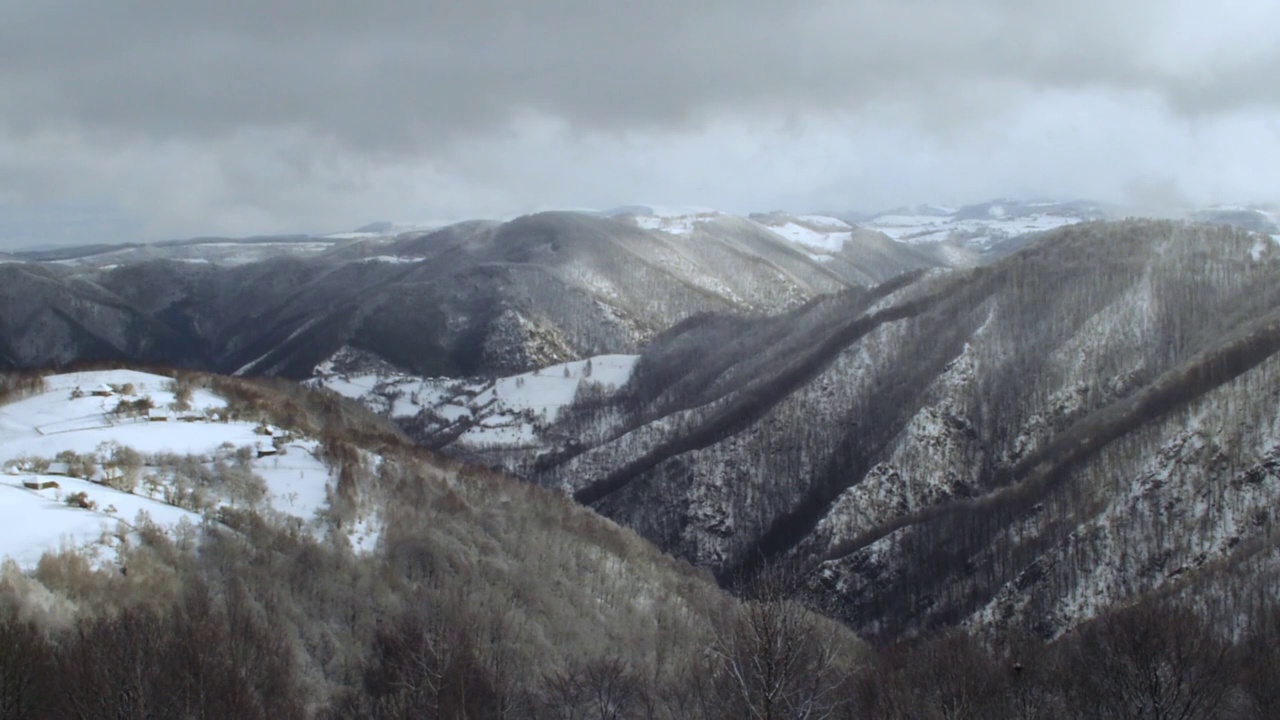 山地景观，落叶林被雪覆盖，阴云密布，给环境带来病态视频素材